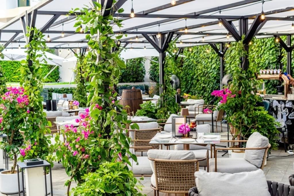 Cay Trong Cho Quan Beer San Vuon 15