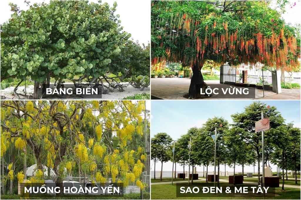 Cay Trong Cho Quan Beer San Vuon 3