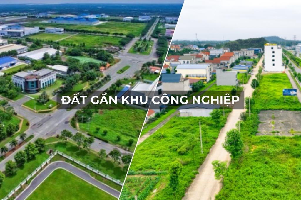 Dia Diem Mo Quan Beer San Vuon Tot Nhat 5